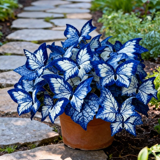 ✨Easy-to-Grow Seeds — Butterfly Blooms for a Living Garden-XA